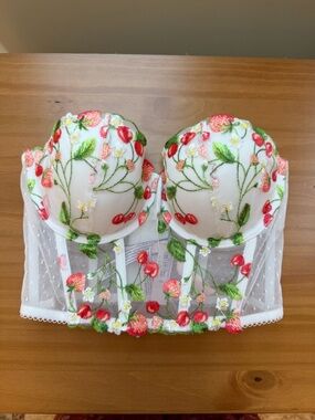 Victoria's Secret Dream Angels Strawberry Embroidery Corset Top. 32D